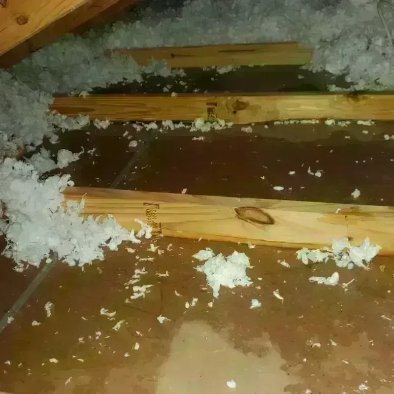 Attic Water Damage in Caldwell, TX