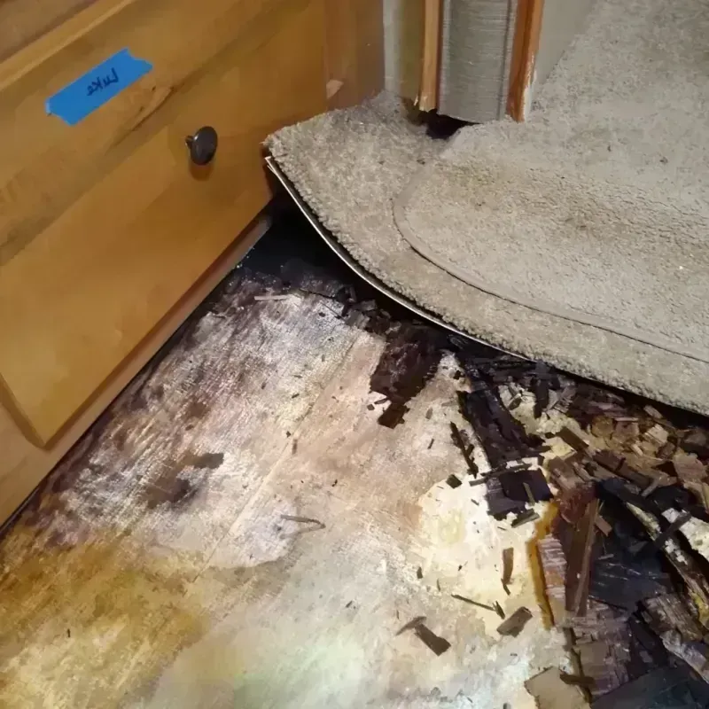 Wood Floor Water Damage in Caldwell, TX